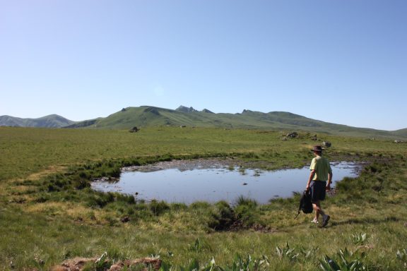 Plateau de Bozat dans le Massif du Sancy